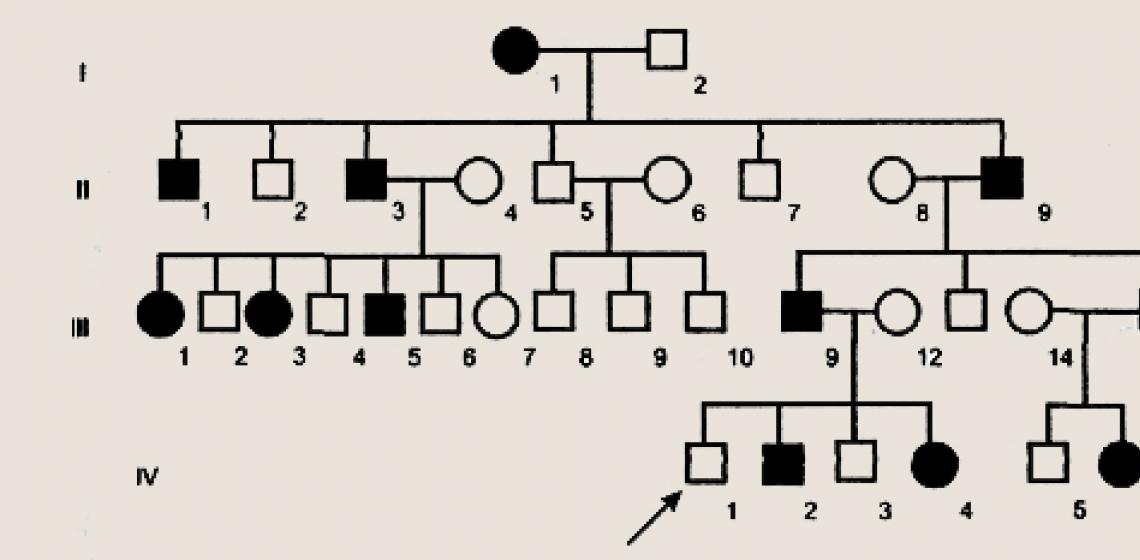 I segni sono caratteristici del metodo genealogico